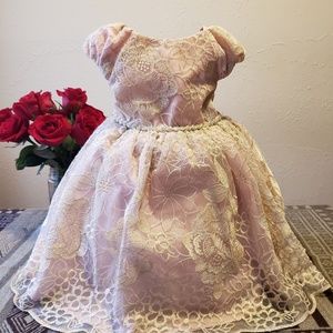 Rare Edition Baby Dress with Gold Embroided Mesh